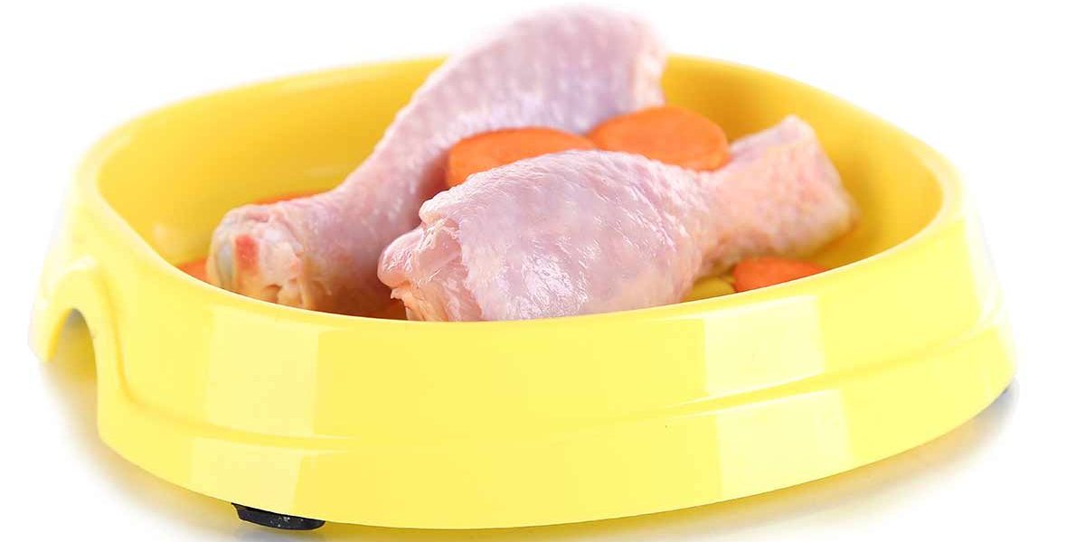 Les chats peuvent-ils manger du poulet cru ? - img