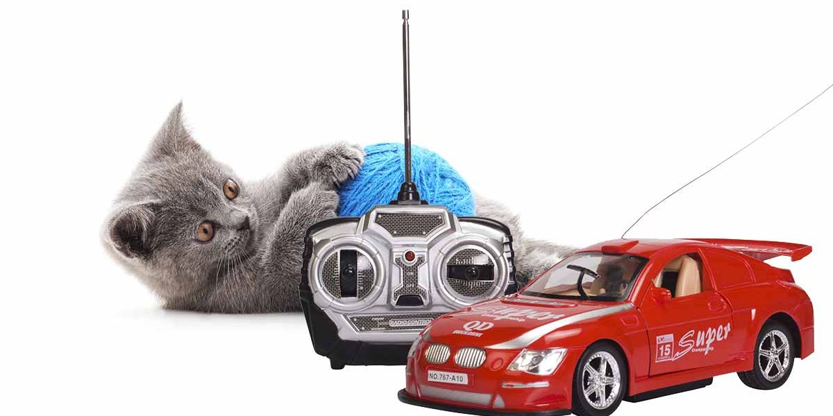 Les meilleurs jouets télécommandés pour chats - img