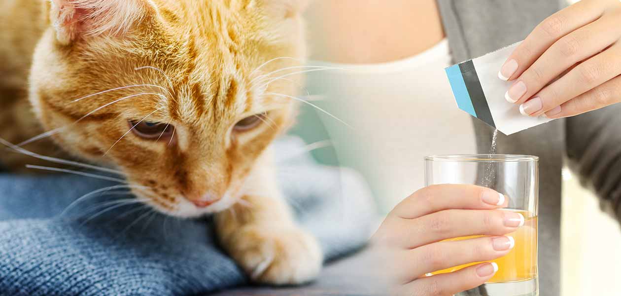 Miralax pour les chats souffrant de constipation - img