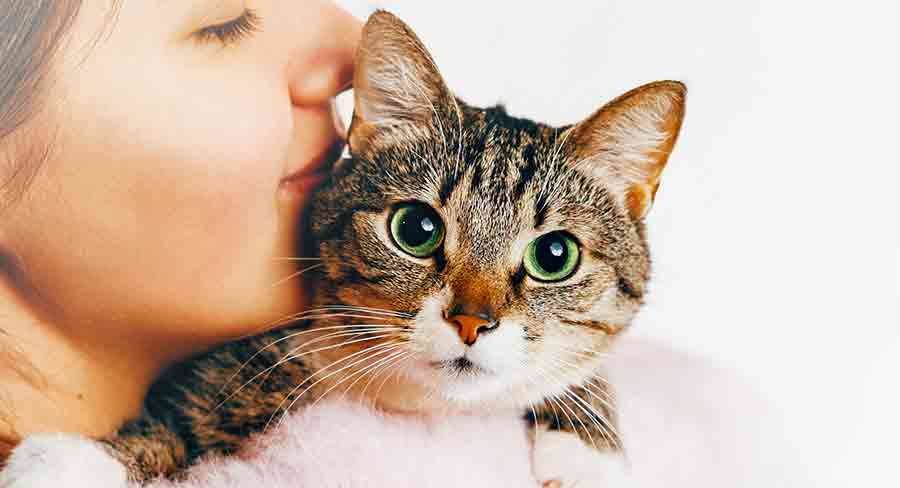 Noms de chat de fille - img