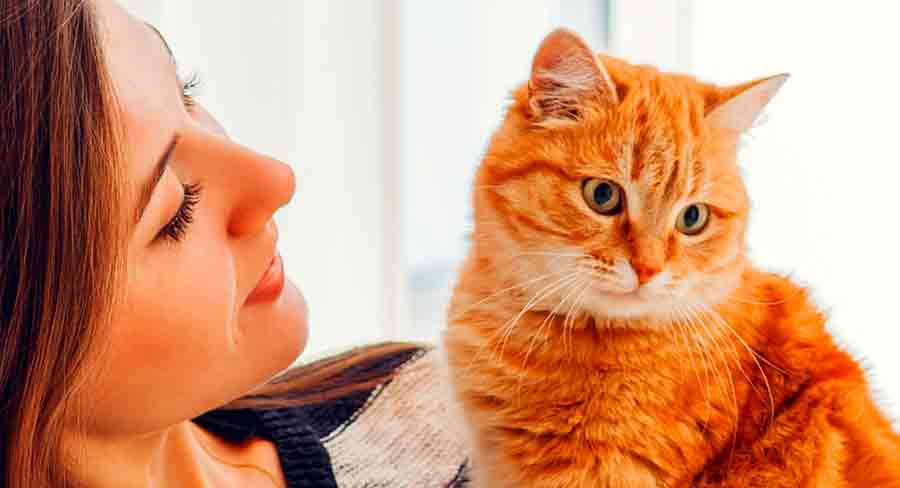 Noms de chat uniques pour filles - 250 idées - img