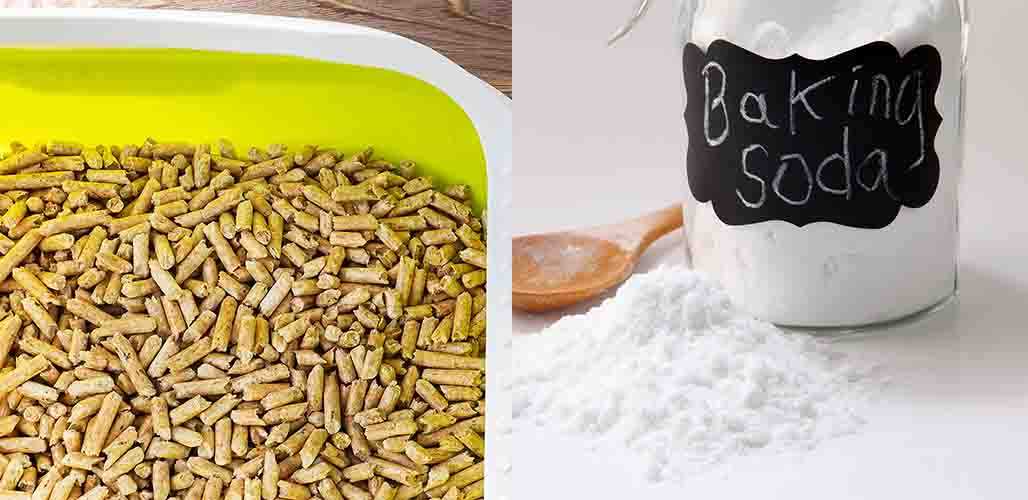 Peut-on mettre du bicarbonate de soude dans la litière pour chats ? - img