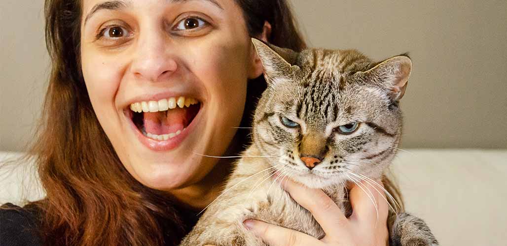 Pourquoi mon chat grogne-t-il lorsque je le prends dans mes bras ? - img