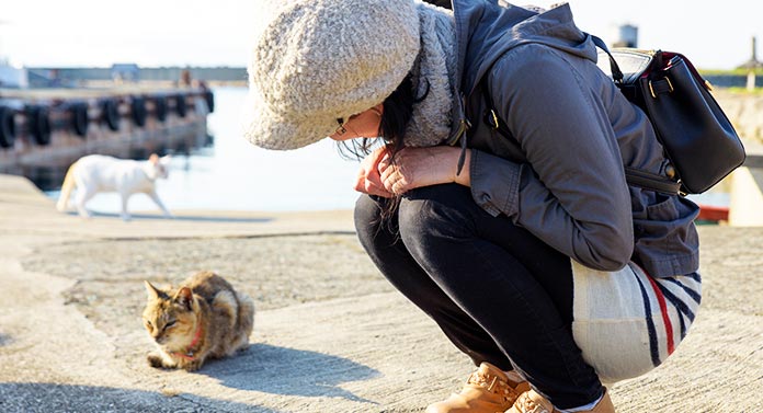 Que signifie le fait qu'un chat vous suive à la maison ? - img