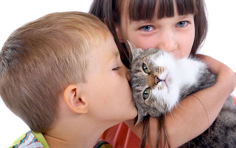 Comment élever un chat amical - img