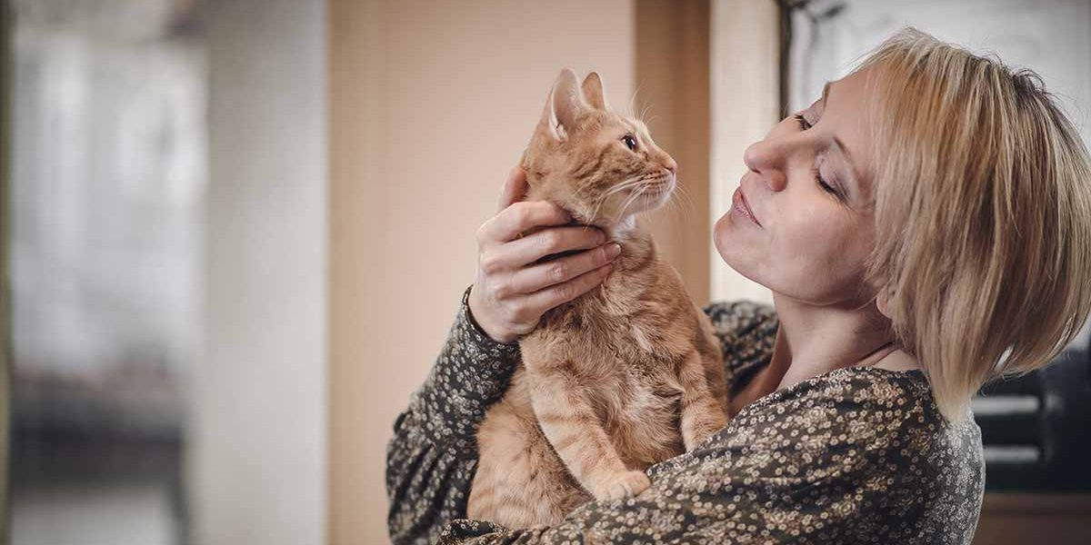 Mon chat m'aime-t-il ? Un guide des signes de l'amour des chats - img