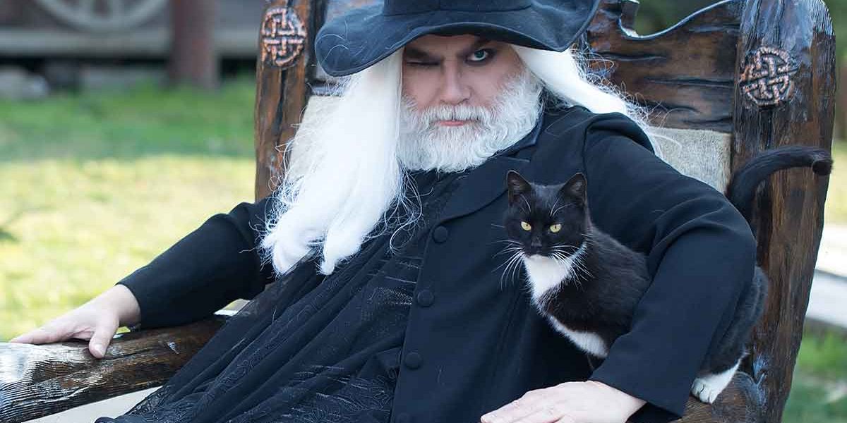 Noms de chats Harry Potter - 200 noms magiques du monde de Potter - img