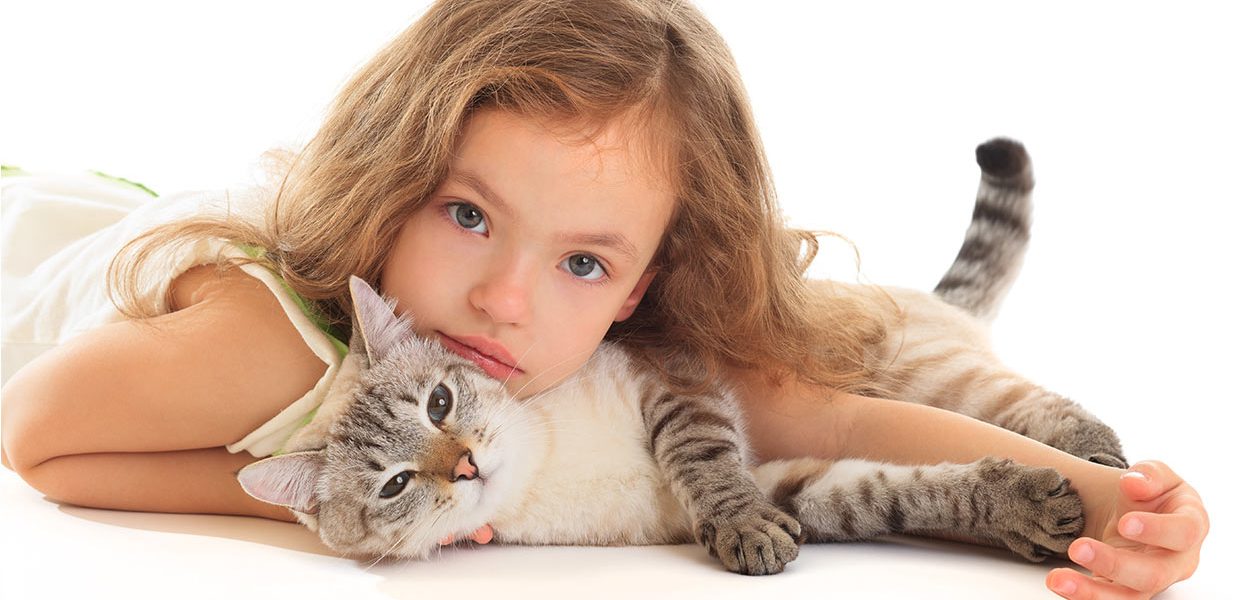 Les chats font-ils des câlins, les apprécient-ils ? - img